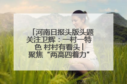 河南日报头版头题关注卫辉：一村一特色 村村有看头 ︳聚焦“两高四着力”·一“县”观察